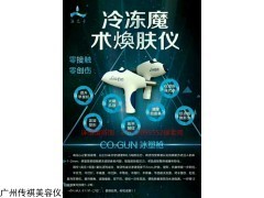冷冻魔术焕肤仪 冰塑枪与焕肤枪的工厂直供解决方案